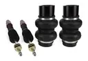 Airlift 16-21 Honda Civic 10th Gen 1.5T - Rear Performance Kit