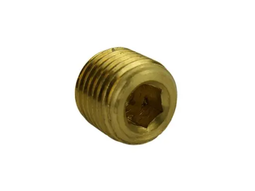[05-BF14-13] 1/4 MNPT Plug
